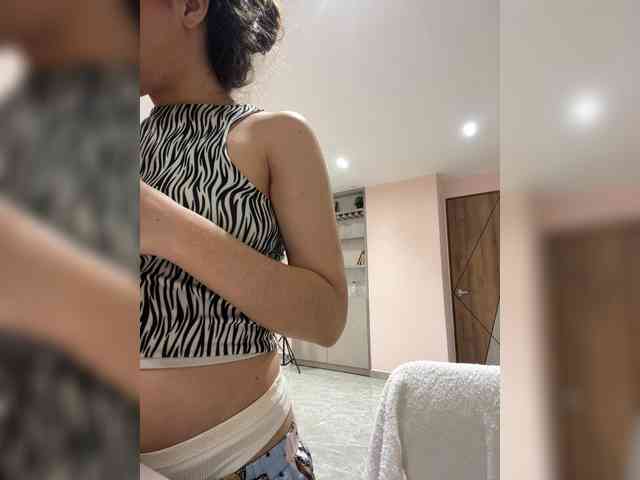 LeiaStone webcam