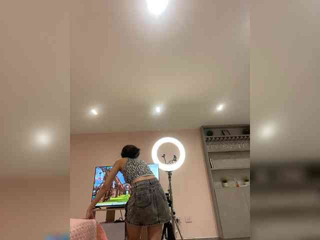 LeiaStone webcam