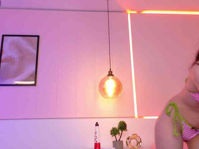 LeiaStone webcam