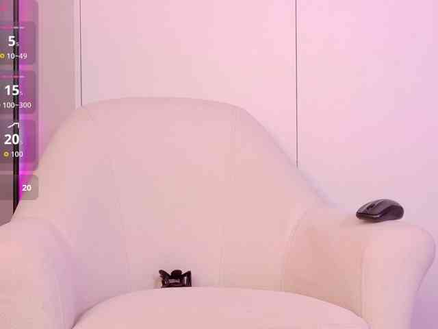 LeiaStone webcam