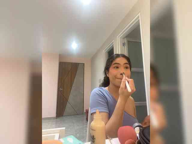 LeiaStone webcam