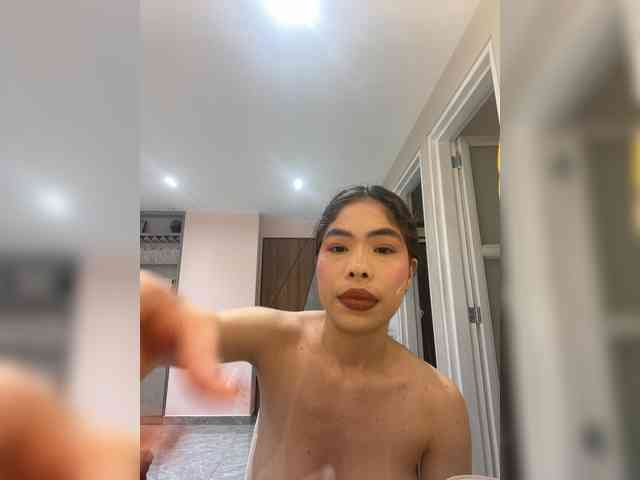 LeiaStone webcam