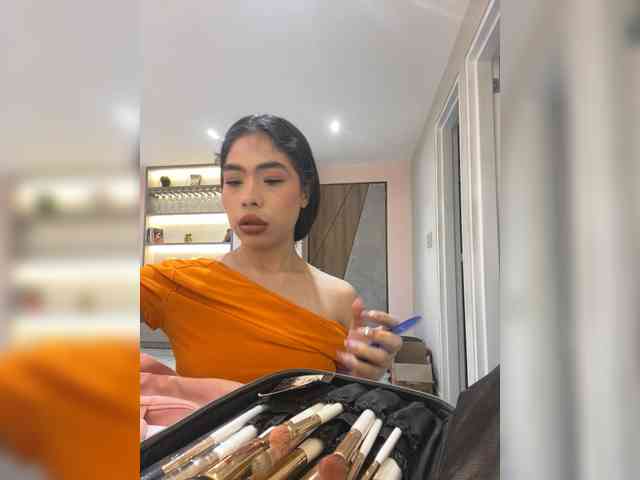 LeiaStone webcam