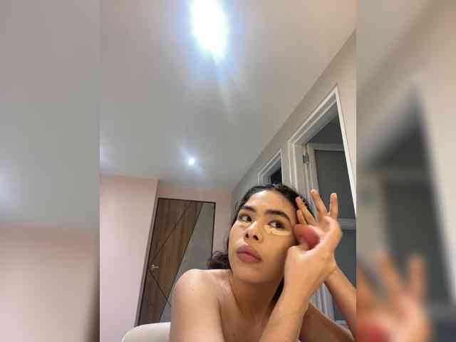 LeiaStone webcam