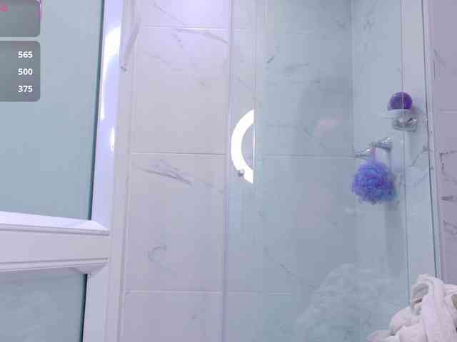 LeiaStone webcam