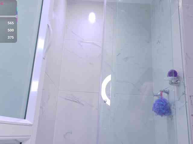 LeiaStone webcam