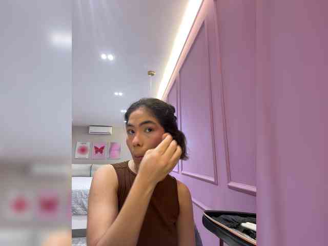 LeiaStone webcam