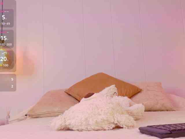 LeiaStone webcam