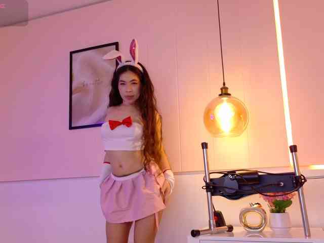 LeiaStone webcam