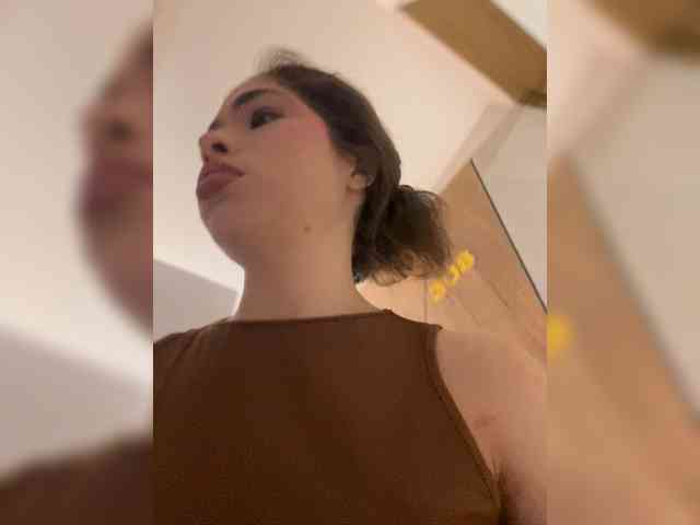 LeiaStone webcam