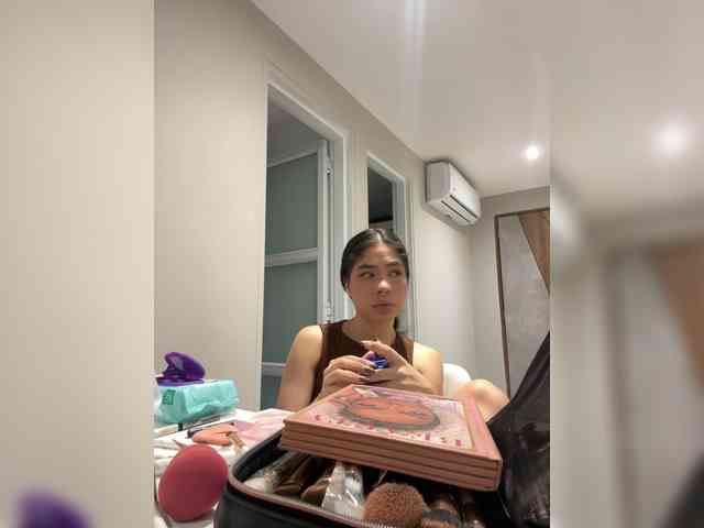 LeiaStone webcam