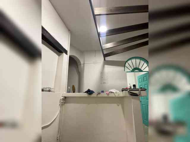 LeiaStone webcam