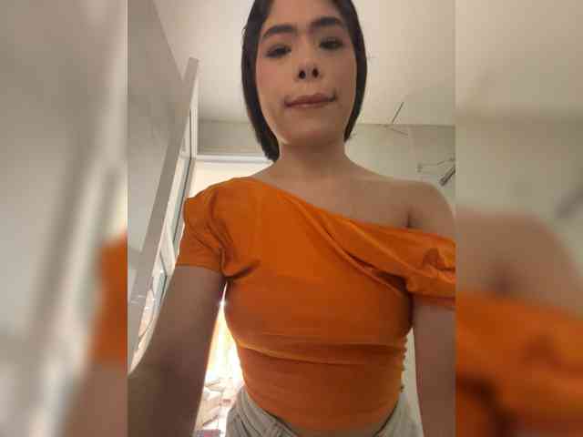 LeiaStone webcam