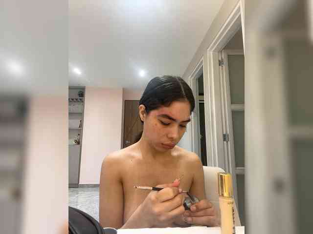 LeiaStone webcam