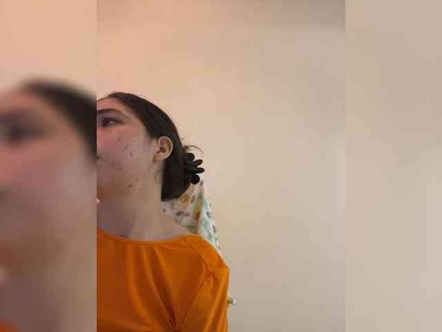LeiaStone webcam