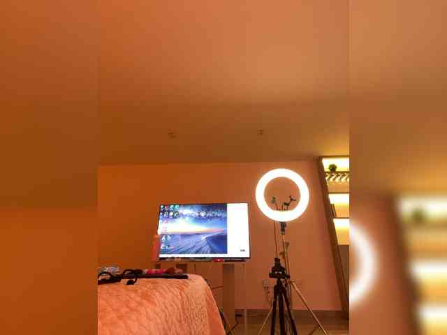 LeiaStone webcam