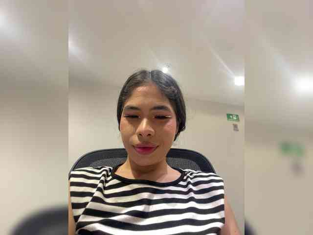 LeiaStone webcam