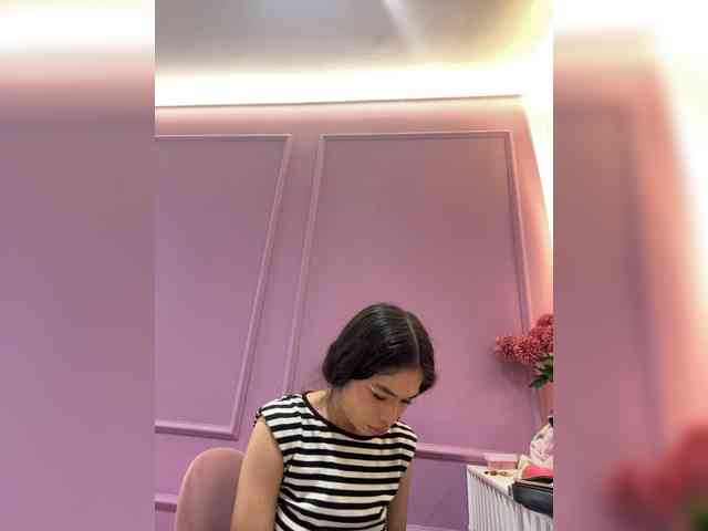 LeiaStone webcam