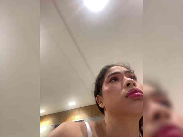 LeiaStone webcam