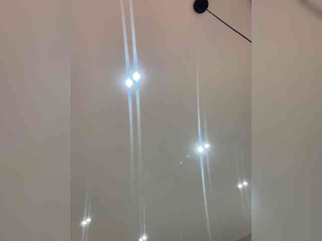LeiaStone webcam
