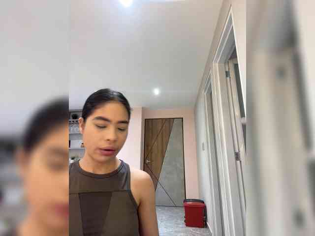 LeiaStone webcam