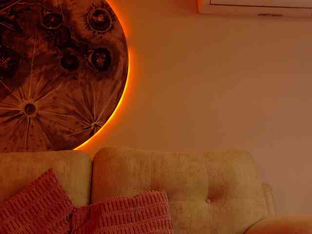 LeiaStone webcam