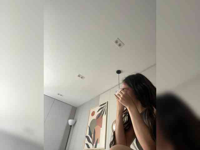 LeiaStone webcam