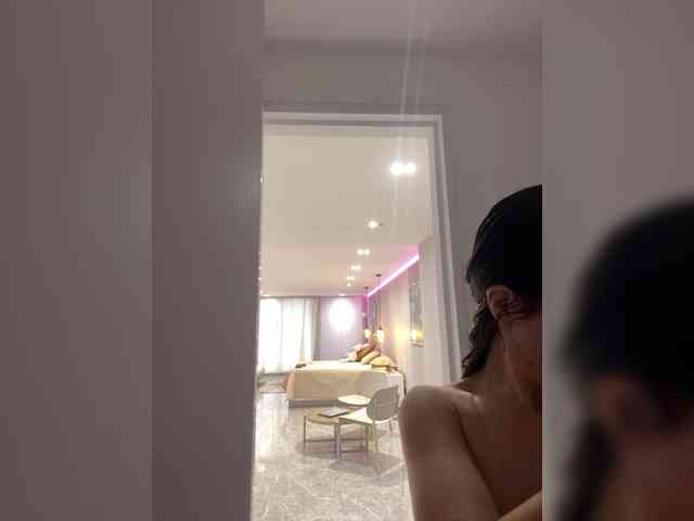 LeiaStone webcam