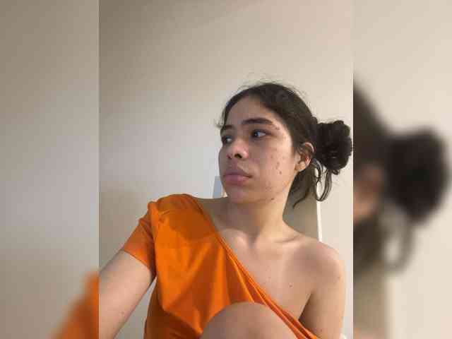 LeiaStone webcam