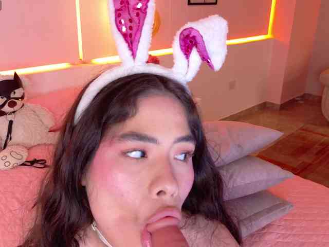 LeiaStone webcam