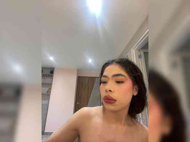 LeiaStone webcam