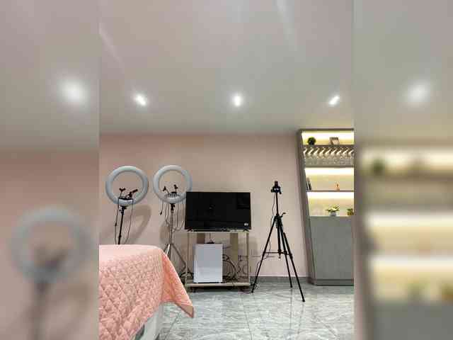 LeiaStone webcam