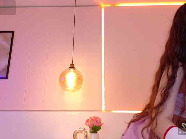 LeiaStone webcam