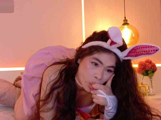 LeiaStone webcam