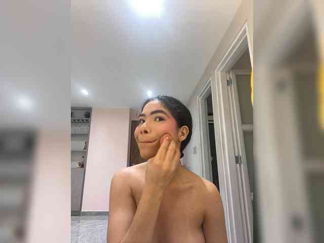 LeiaStone webcam