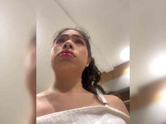 LeiaStone webcam