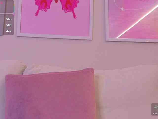 LeiaStone webcam