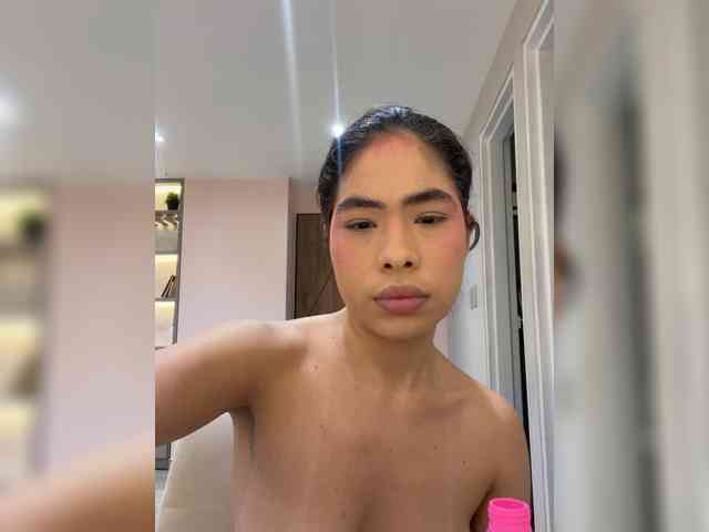 LeiaStone webcam