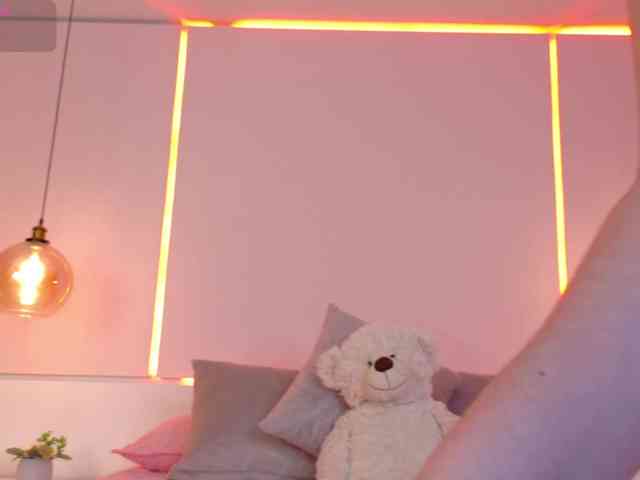 LeiaStone webcam