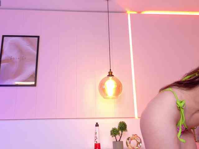 LeiaStone webcam