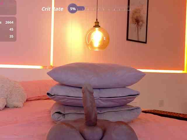 LeiaStone webcam