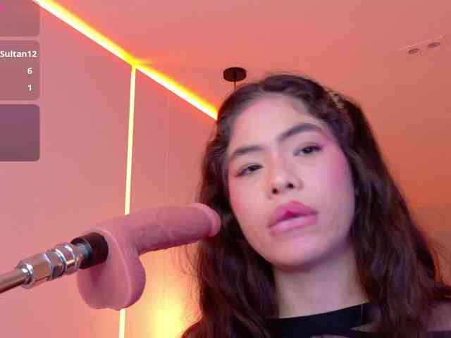 LeiaStone webcam