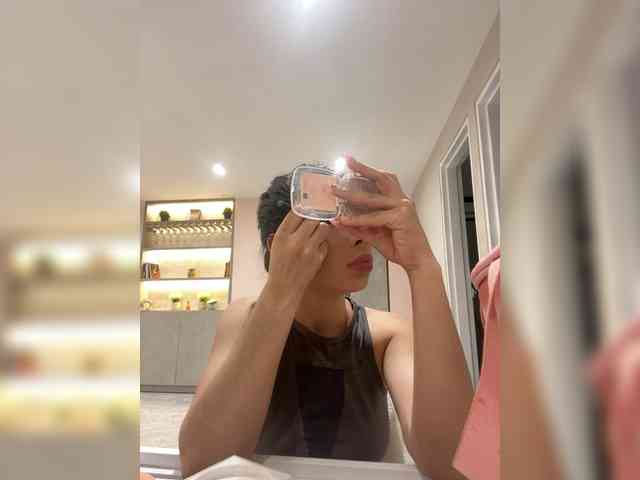 LeiaStone webcam