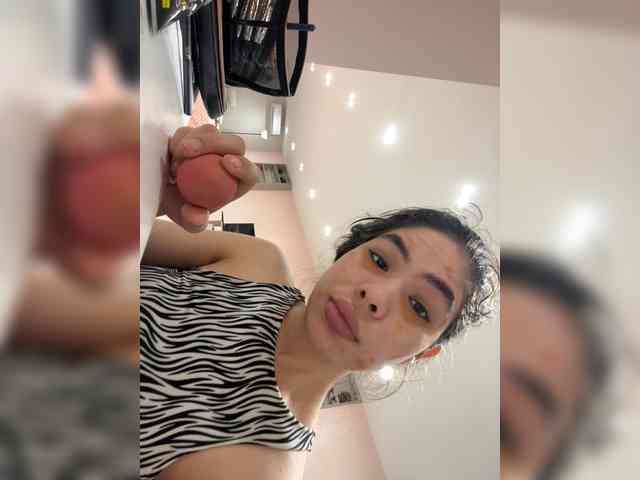 LeiaStone webcam