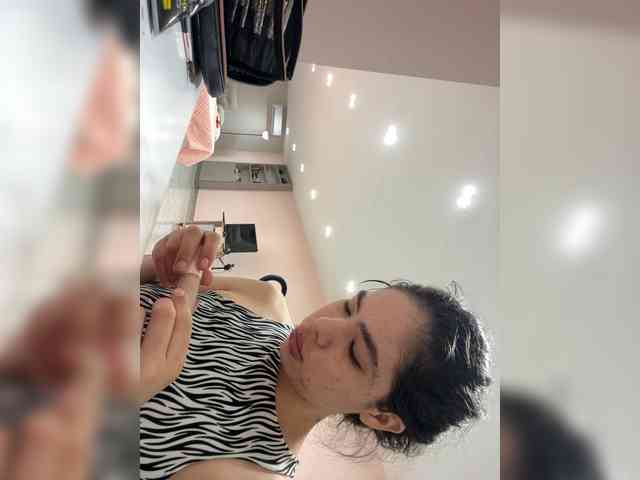 LeiaStone webcam