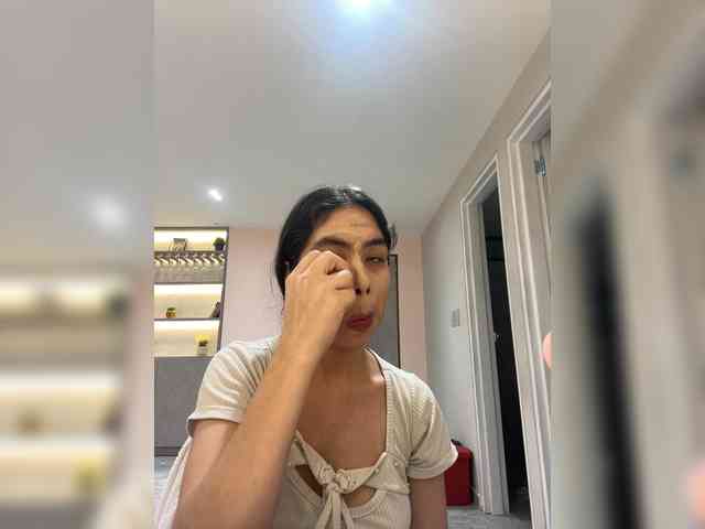 LeiaStone webcam