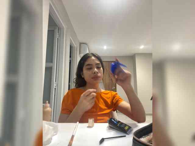 LeiaStone webcam