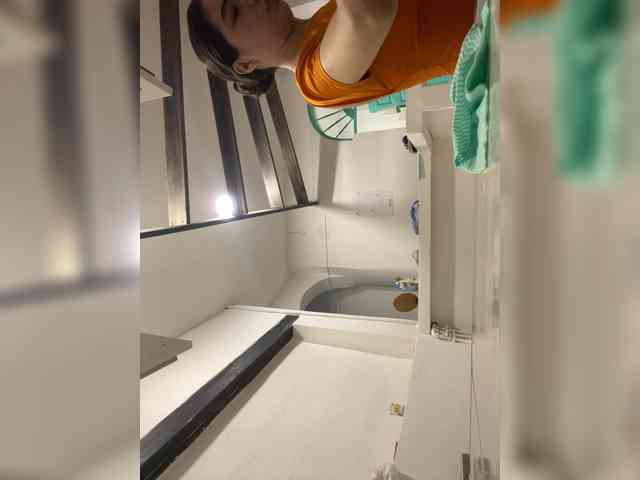 LeiaStone webcam