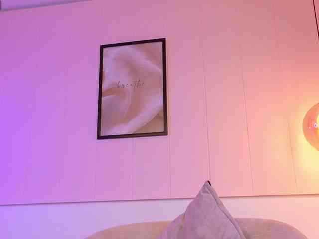 LeiaStone webcam