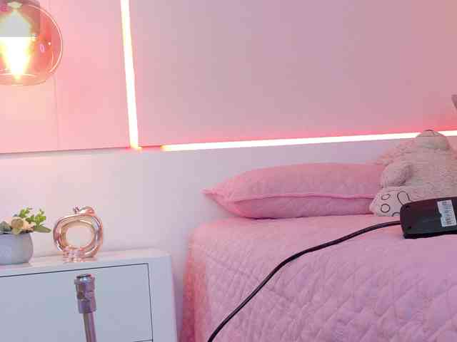 LeiaStone webcam